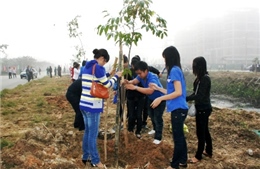 Bắc Ninh trồng cây xanh và vệ sinh môi trường công cộng